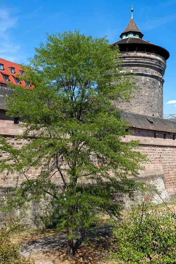 city wall of nuremberg with old tpwer