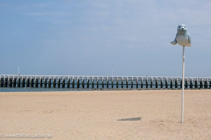 installation of a blue seal on a pole on ostend beach