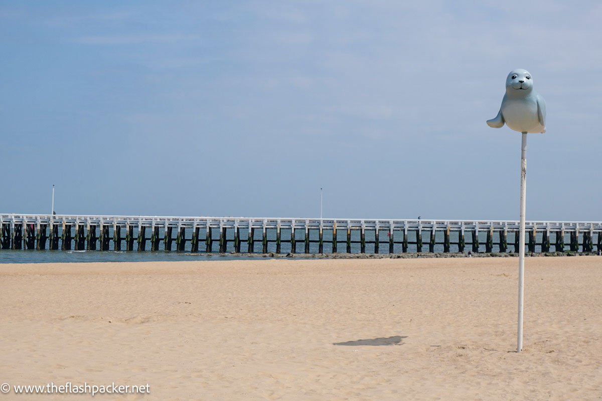 installation of a blue seal on a pole on ostend beach