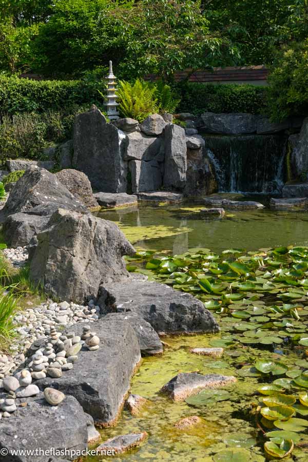 japanese garden with rock formations and pond with water lillies