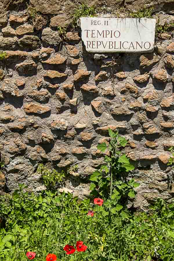 ancient stone wall with latin sign and poppies