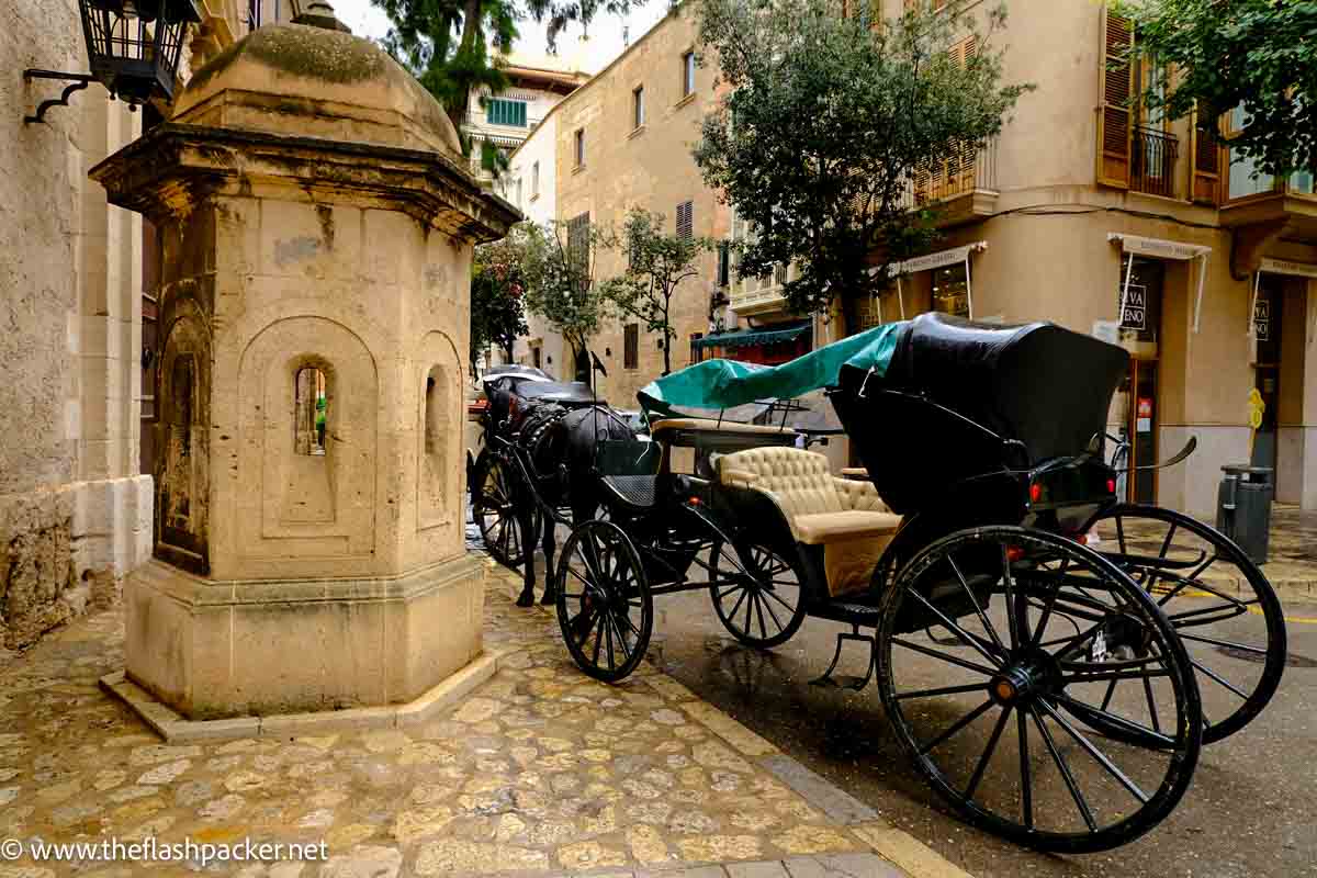 horse and carirage in medieval street in palma de mallorca spain