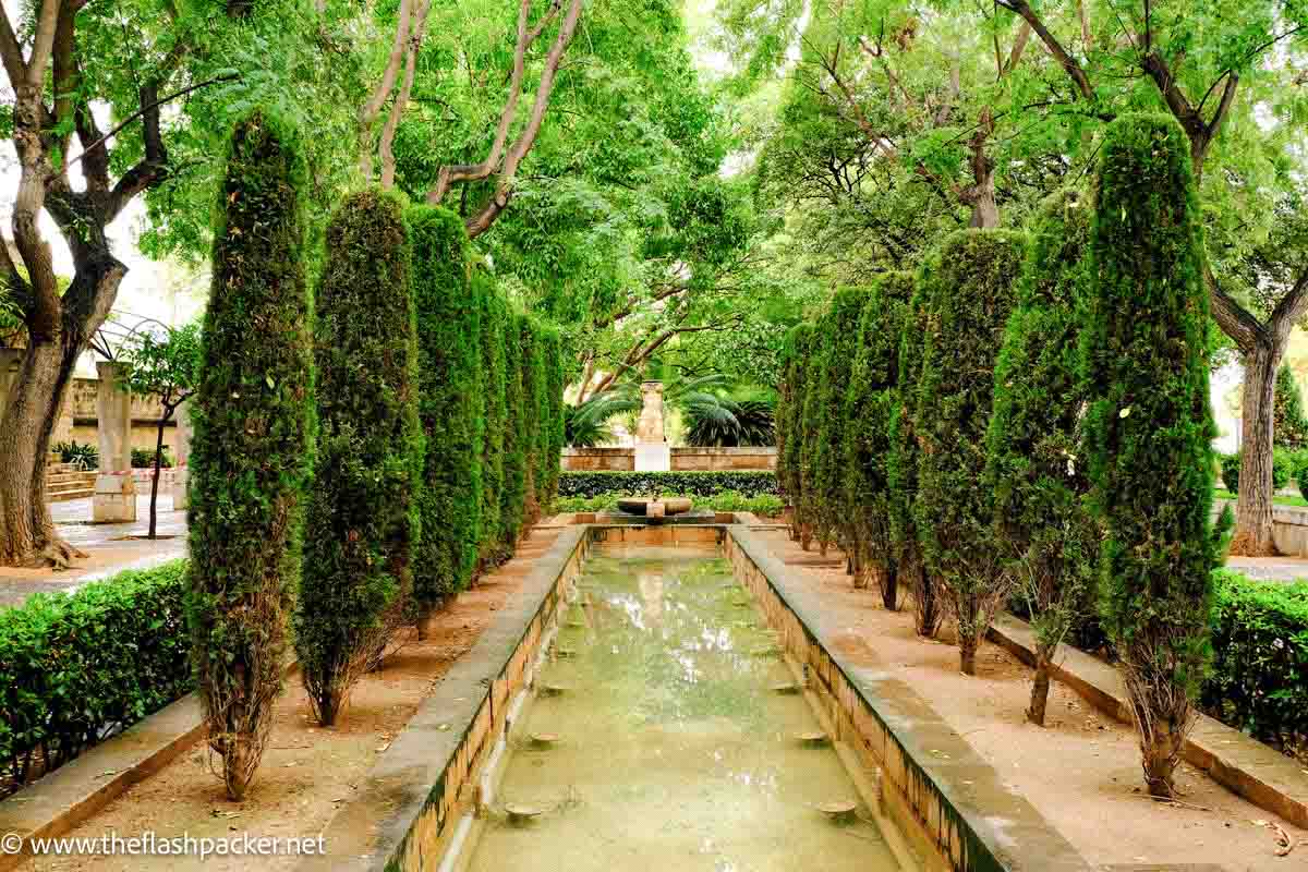 spanish garden with rectangular pond lined with cypress trees