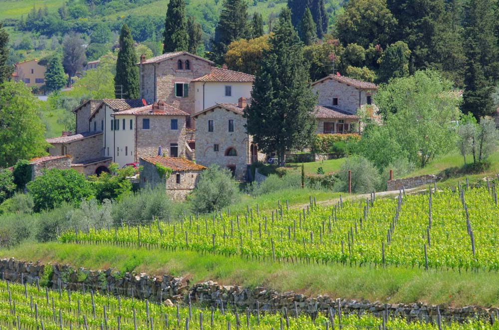 small group of stone buildings next to a vineyard