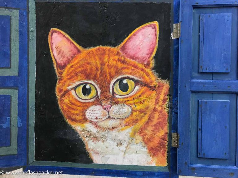 street art of a ginger cat looking out through blue shutters