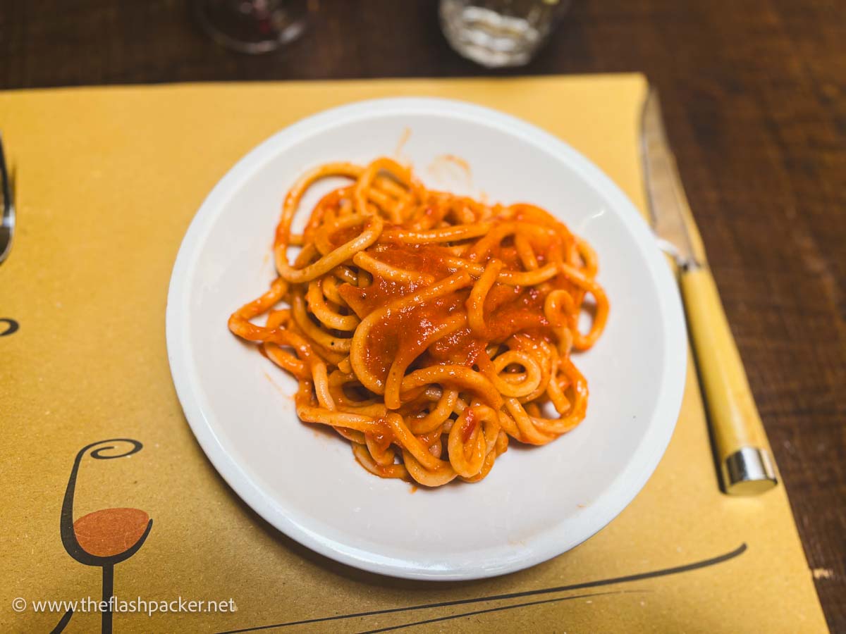 a plate of thick pasta strands in tomato sauce