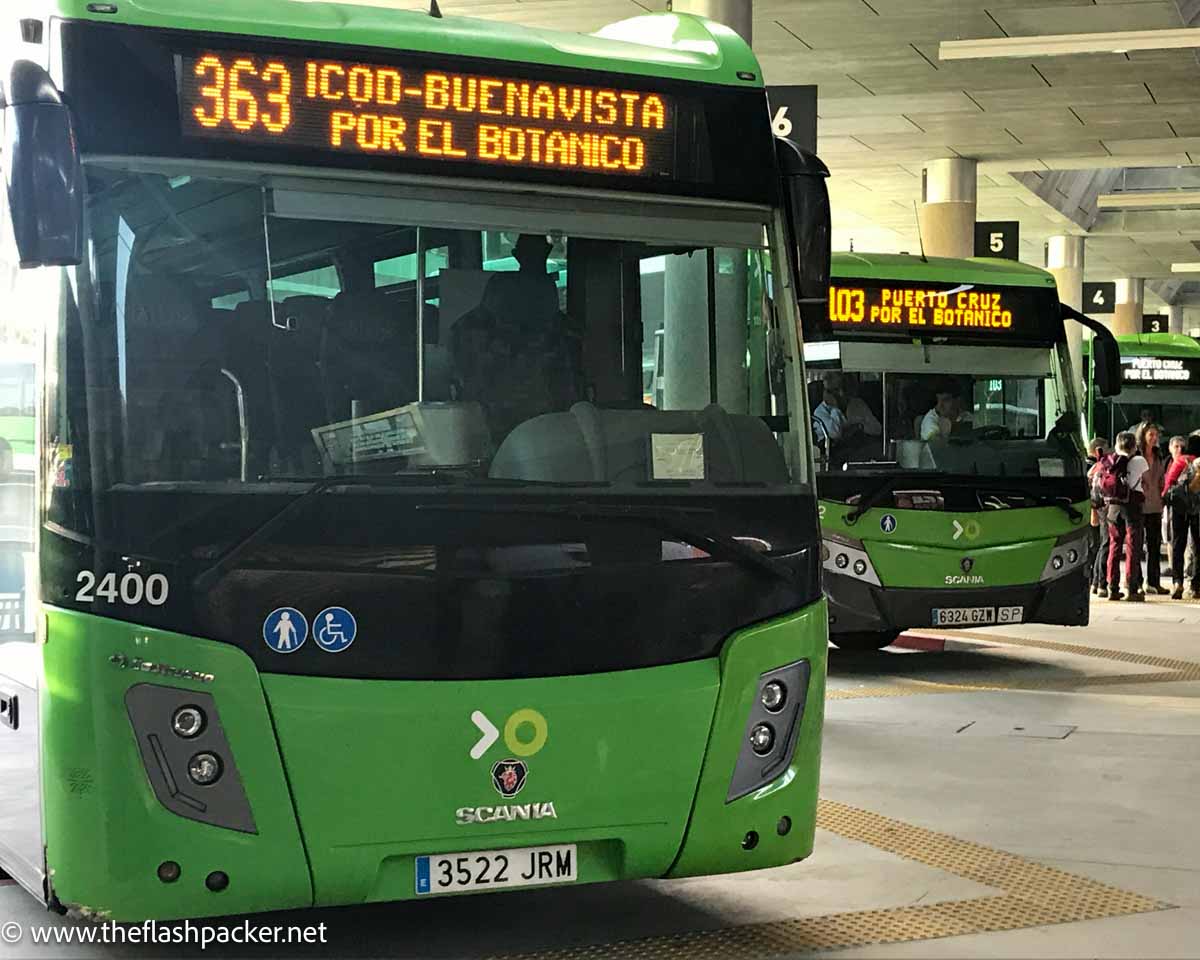 green buses at the bus station in tenerife spain