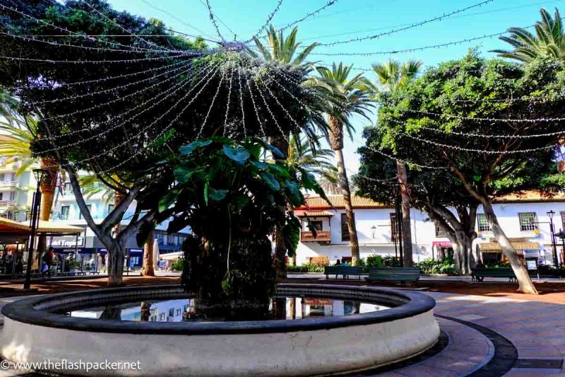 two people sitting on bench in piazza in puerto de la cruz tenerife