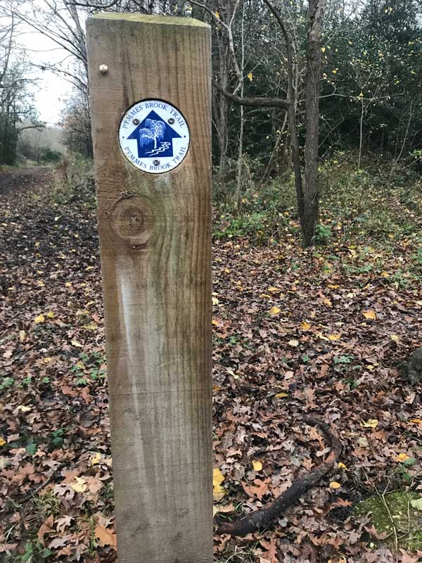 signpost for pymmes brook trail london in woodland path