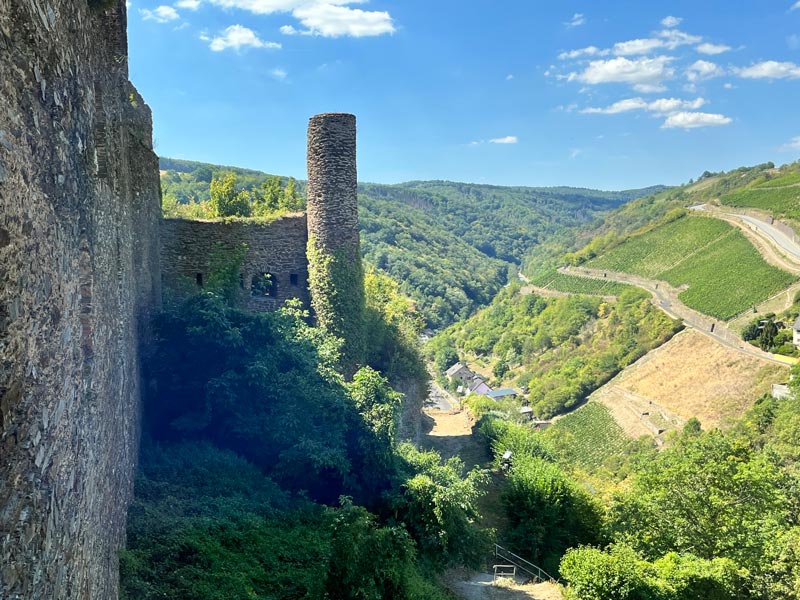 view with steep terraced vineyards and the side of a castle with tower