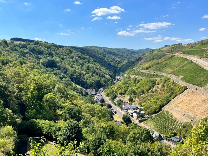 view of a steep terraced valley with vineyards and a few houses