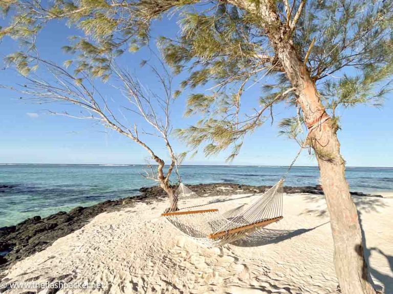 hammock swinging from a tree on a sandy beach in mauritius