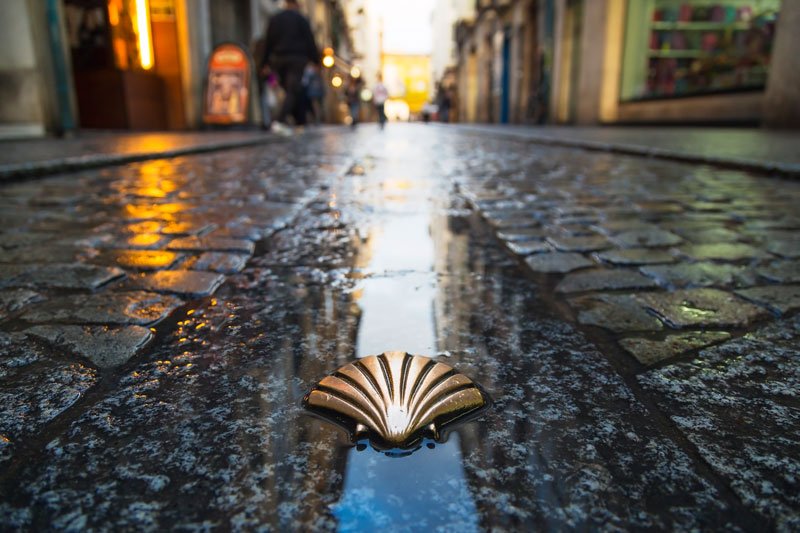 a waymarker called a shell on the wet pavement of santiago at night