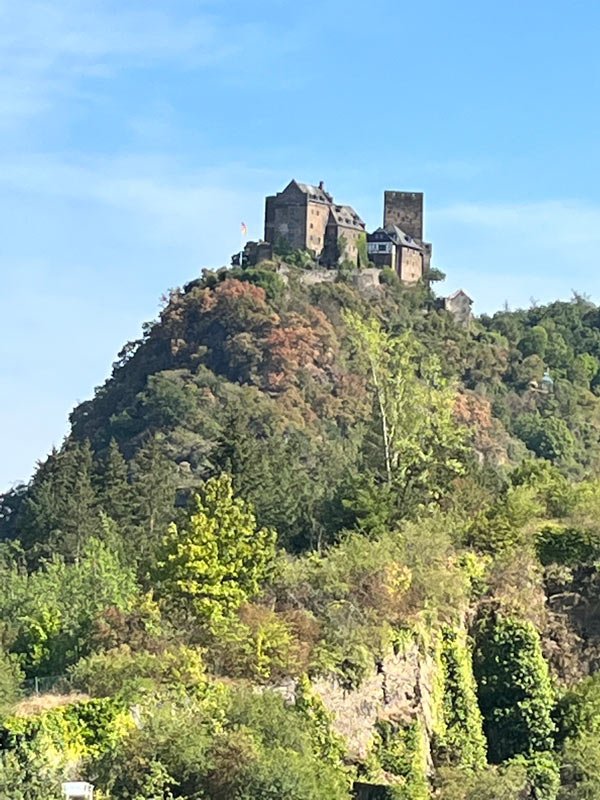 castle on the top of a hill