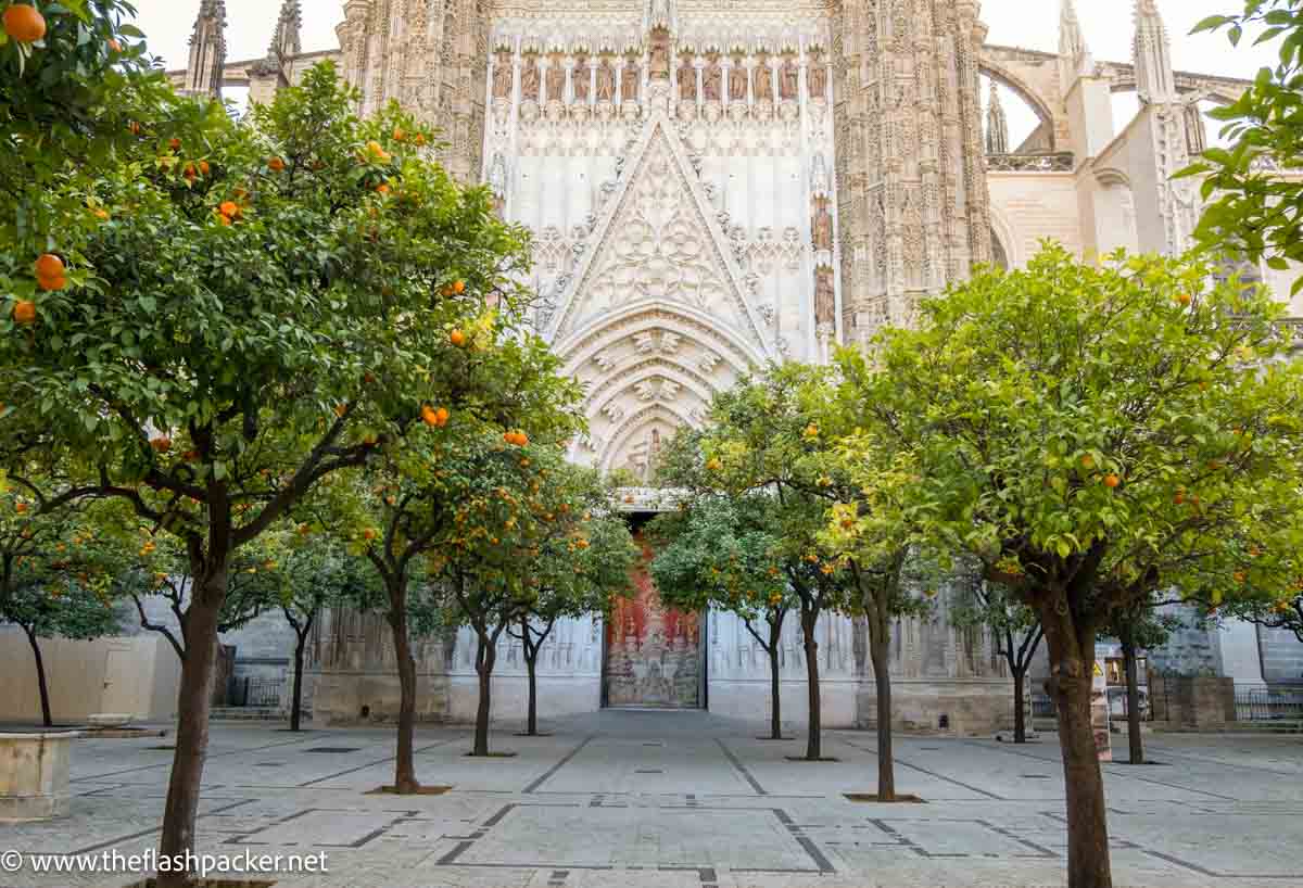 courtyard of cathedral with orange trees