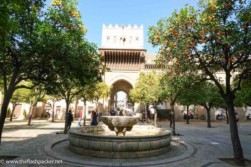 courtyard with gateway and orange trees