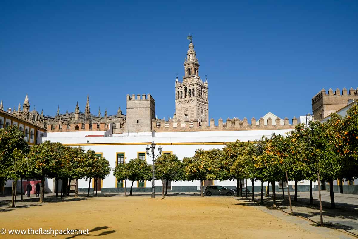 courtyard lined with oramge trees with view of cathedral and bell tower