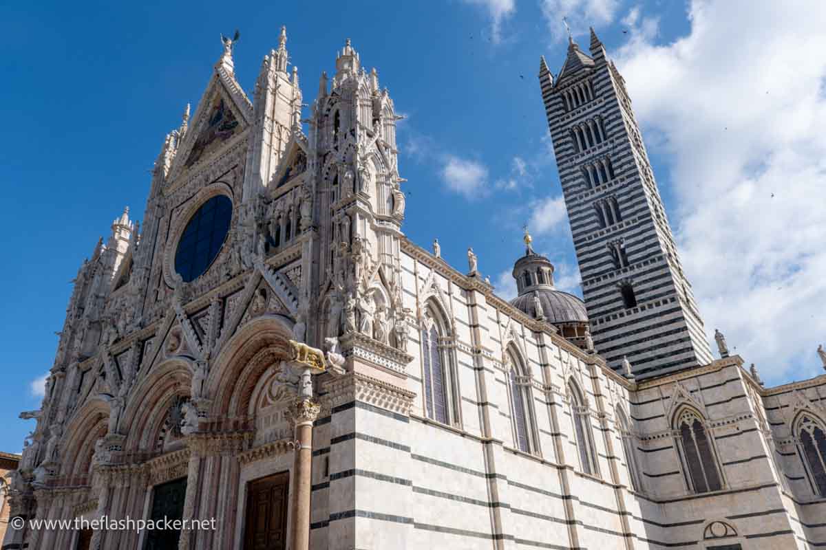 exterior of siena cathedral with beautiful carvings on facade and black and white striped bell tower