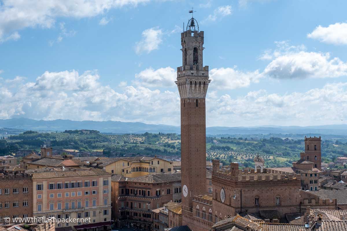 panoramic view of the campo square in siena and the palazzo public with tall bell tower