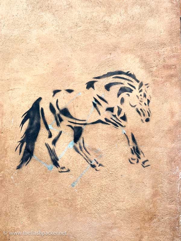 wall mural of a horse