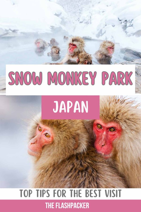 SNOW MONKEY PARK TIPS