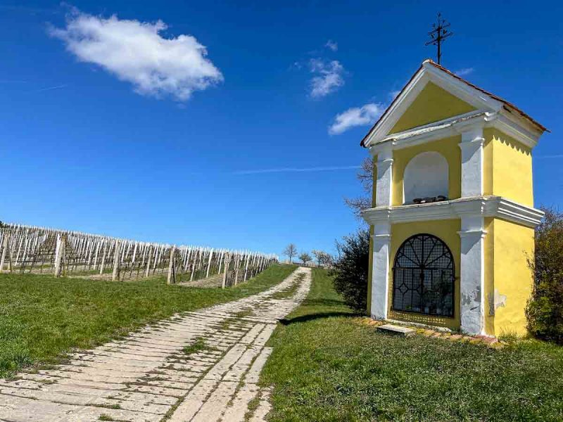 small yellow and white shrine next to path leading through vineyard