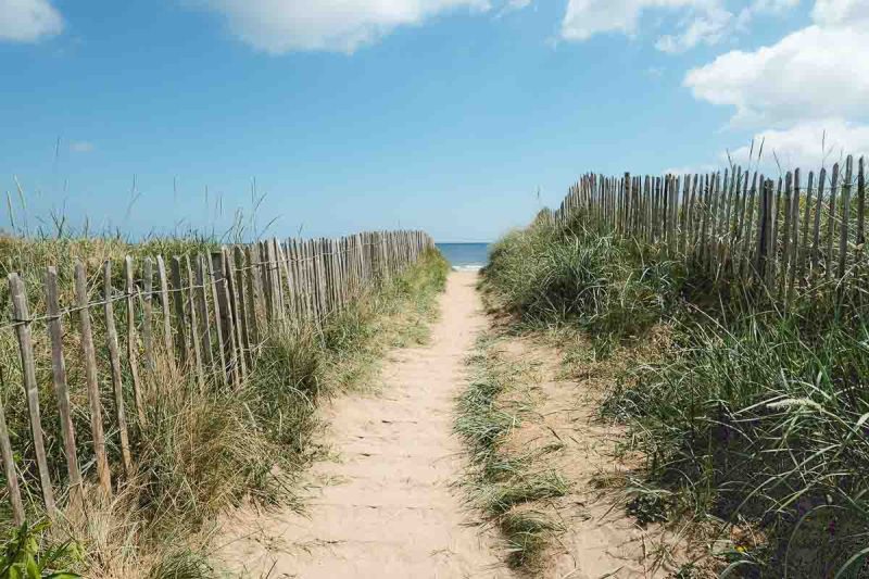 path bordered by fence through sand dunes