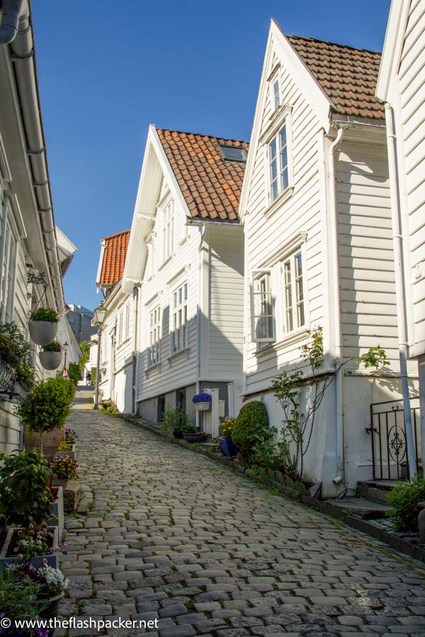 row of white clapperboard houses on a cobblestone street