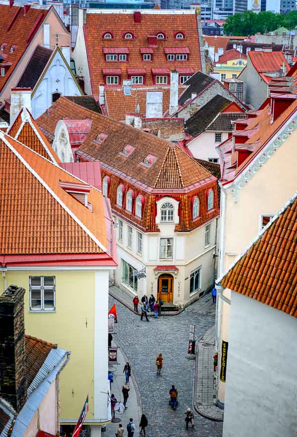 high level view of red rooftops and medieval streets of tallinn