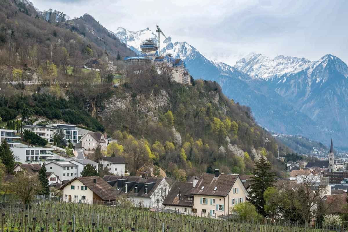 group of buildings and vineyards in an alpine valley