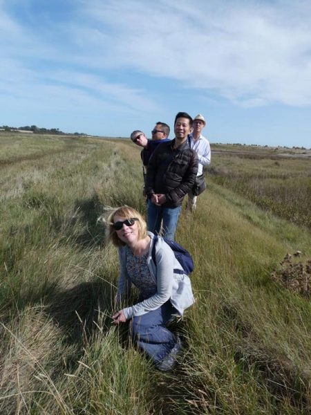 group of people posing on path cutting through marshland and reed beds