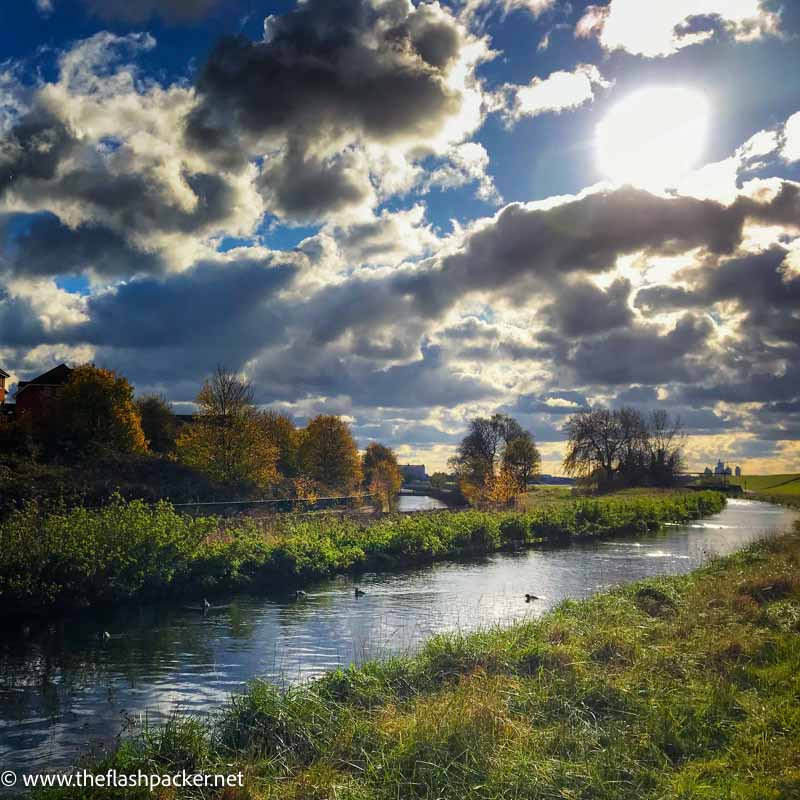 aquatic life on waterway at walthamstow wetlands under stormy clouds