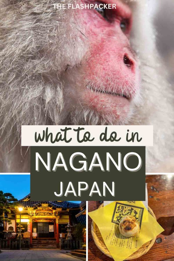 WHAT TO DO IN NAGANO